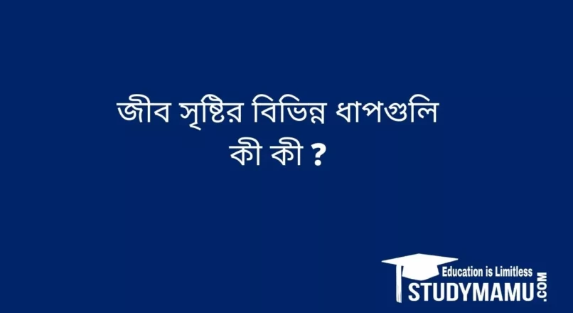 জীব সৃষ্টির বিভিন্ন ধাপগুলি কী কী ?