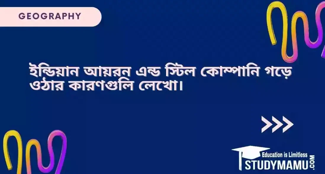 ইন্ডিয়ান আয়রন এন্ড স্টিল কোম্পানি গড়ে ওঠার কারণগুলি লেখো।