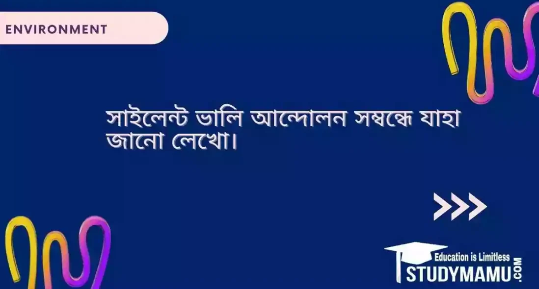 সাইলেন্ট ভালি আন্দোলন সম্বন্ধে যাহা জানো লেখো।